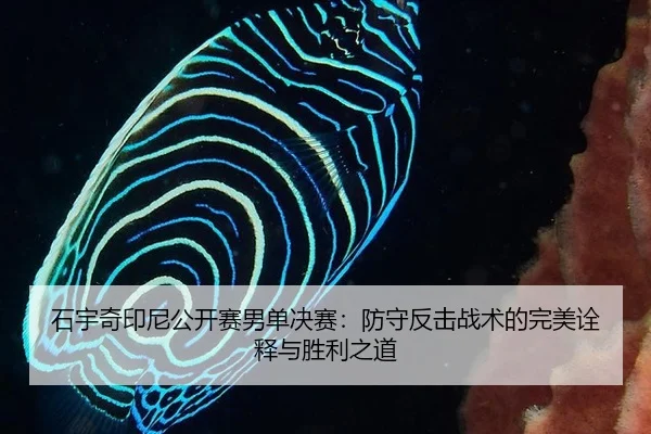 shi-yu-qi-yin-ni-gong-kai-sai-nan-dan-jue-sai-fang-shou-fan-ji-zhan-shu-de-wan-mei-quan-shi-yu-sheng-li-zhi-dao-2-769.jpg